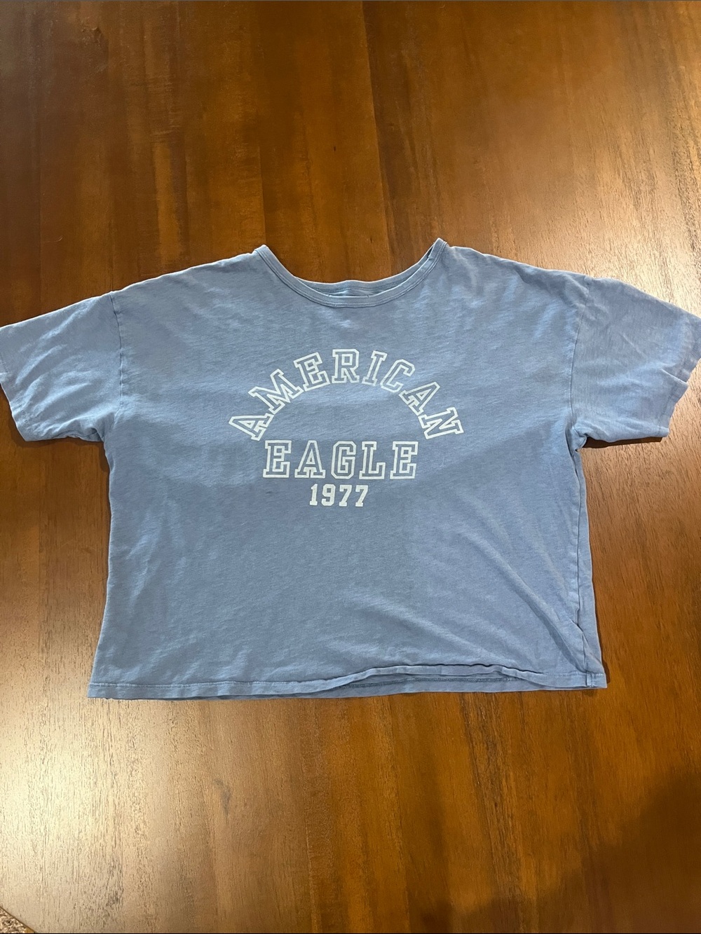 American Eagle Outfitters Light Blue Graphic Tee
